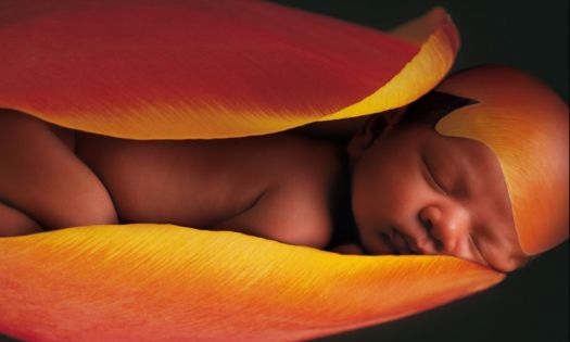 'Seja delicado com os pequenos' traz imagens de beb�s envolvidos em flores